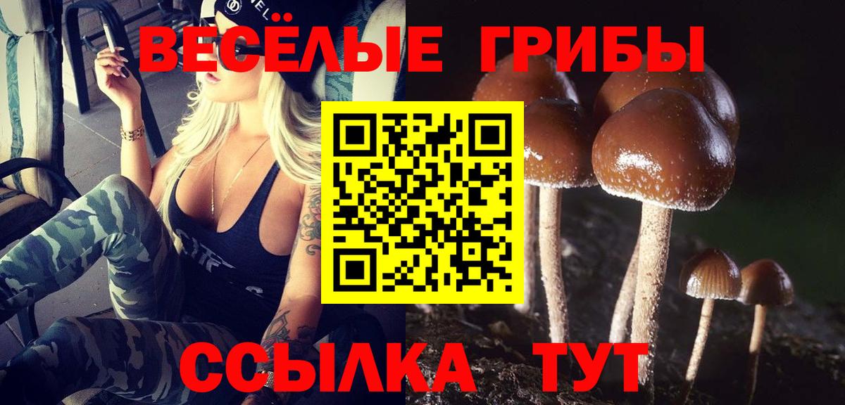 Псилоцибиновые грибы Cubensis Тверь
