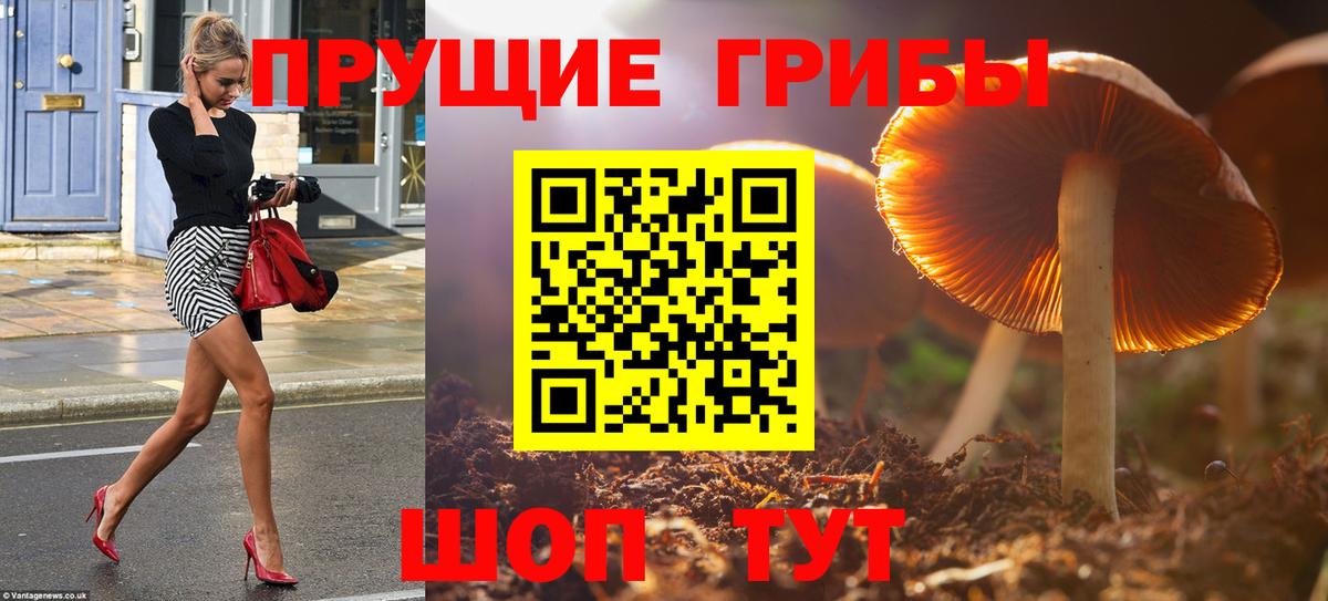 Галлюциногенные грибы MAGIC MUSHROOMS  Вход с VPN  Галлюциногенные грибы GOLDEN TEACHER  Тверь 