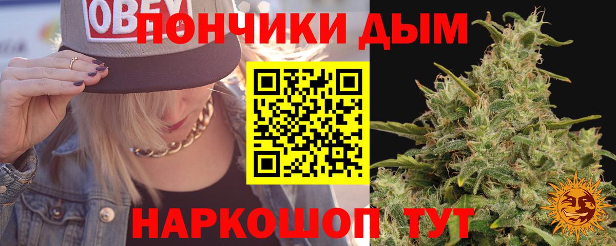 МАРИХУАНА ГИДРОПОН Тверь